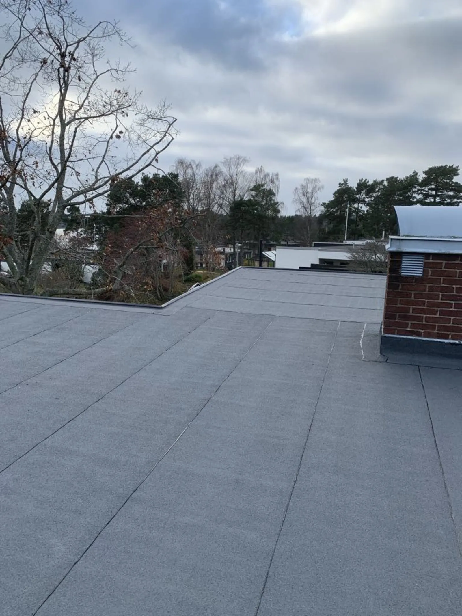 Modernt papptak för låglutande ytor