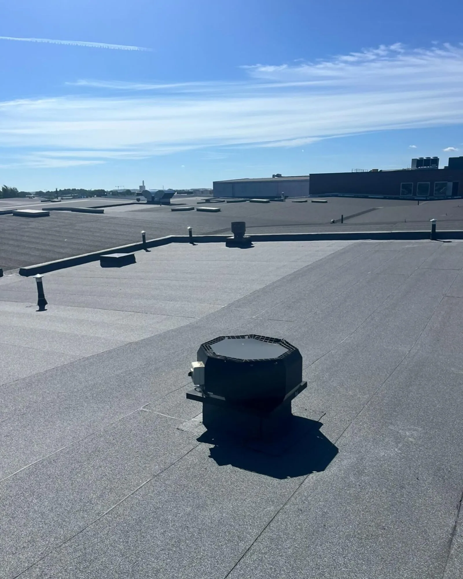 Villor & Flerfamiljshus